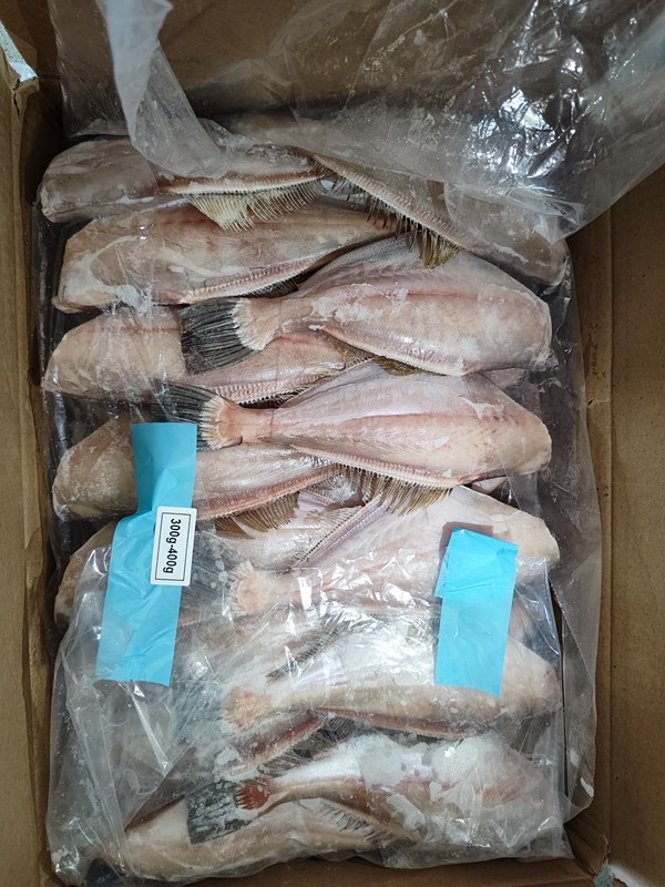 斯里兰卡马面鱼首个冷链集装箱抵达秀山