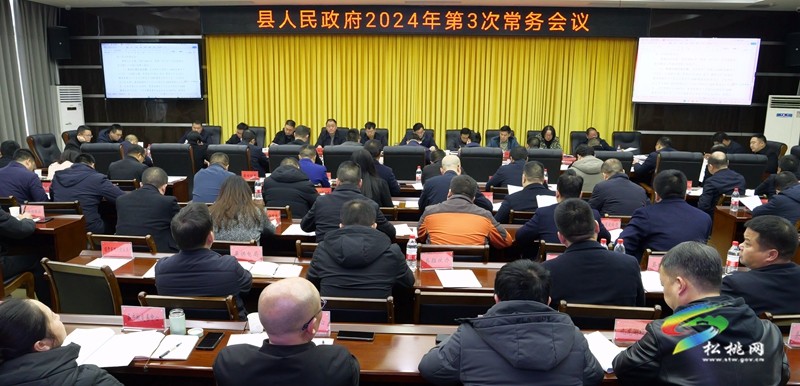 县人民政府2024年第3次常务会议召开