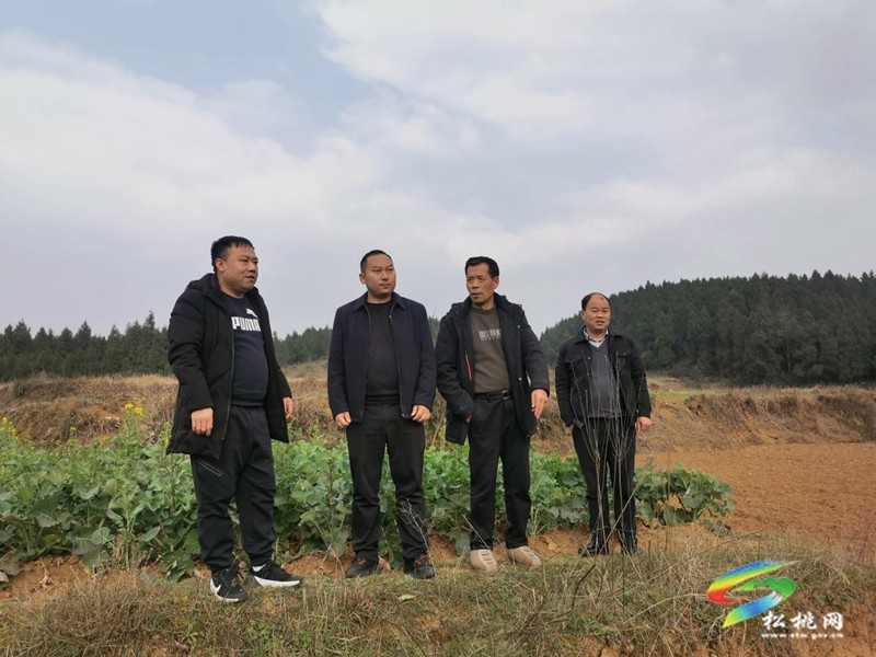 普觉镇：四措施开展森林防灭火工作筑牢安全屏障